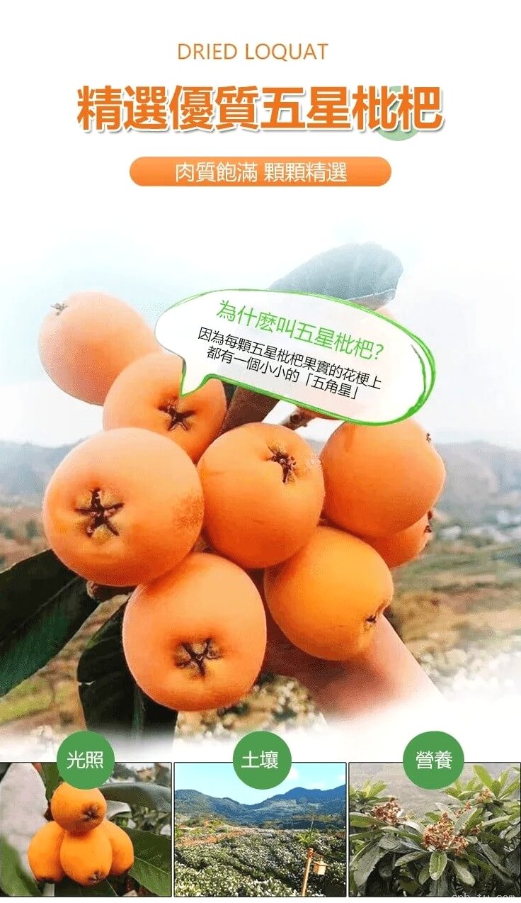 竹鹽枇杷乾&copy;萃品匯
